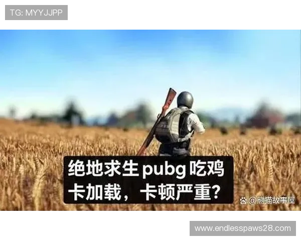 PPG国际服下载常见问题解答，帮助玩家解决下载过程中遇到的困扰